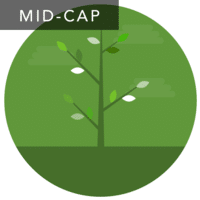 Growth & Income Mid-cap