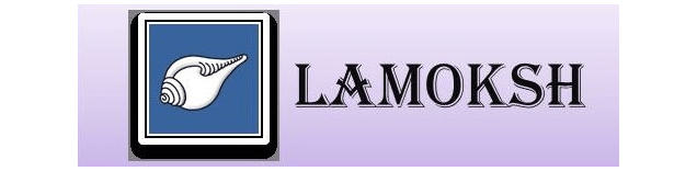 Lamoksh Investments