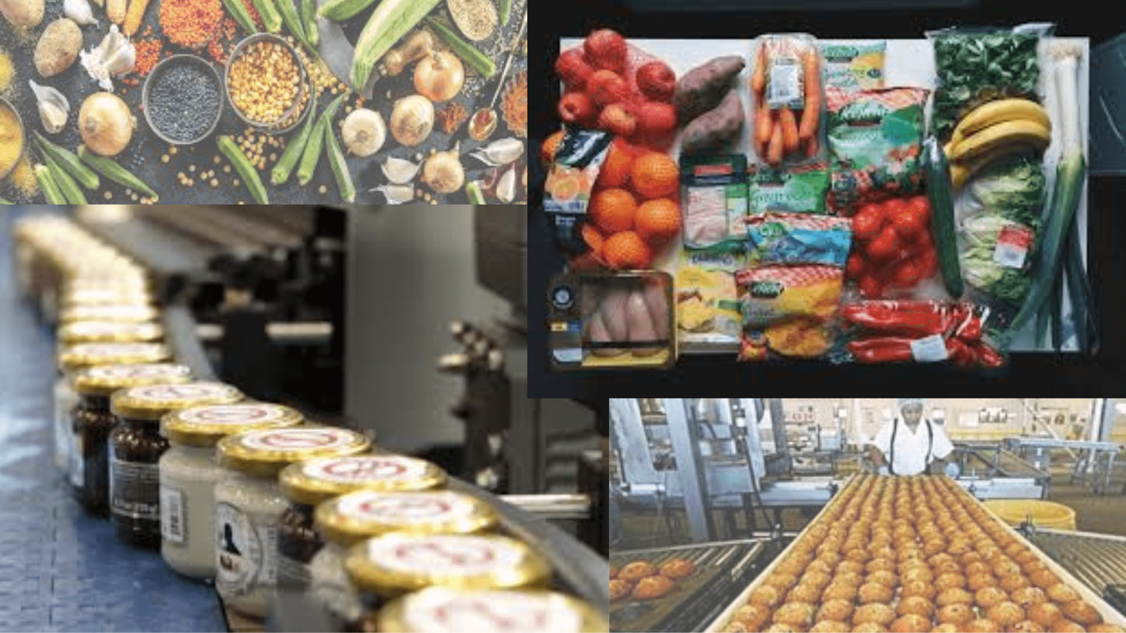 Hot off the grill: India&#8217;s food processing sector