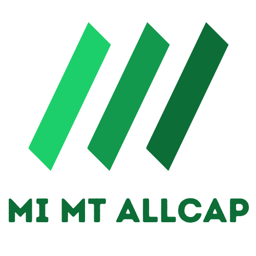 Mi MT Allcap – Flexible Allcap Core Strategy for Long Term Wealth Creation