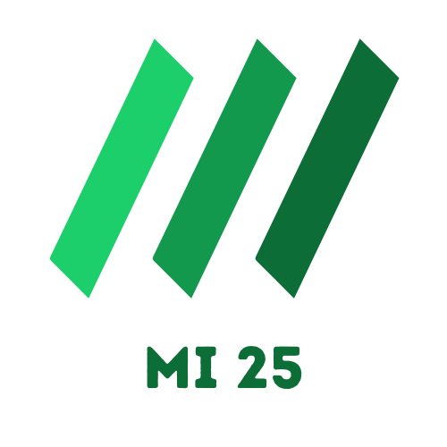 Mi 25 – Our Flagship Smallcap Strategy