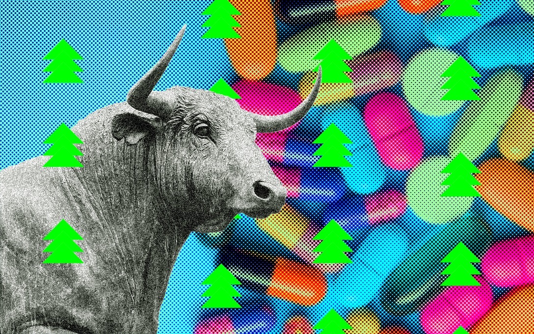 Indian Pharma: The beginning of a long term bull run