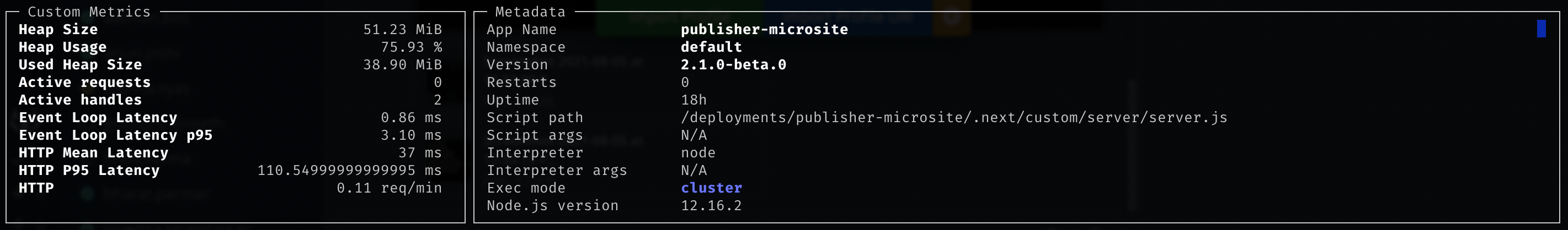 Next.js Custom server pm2 monitor
