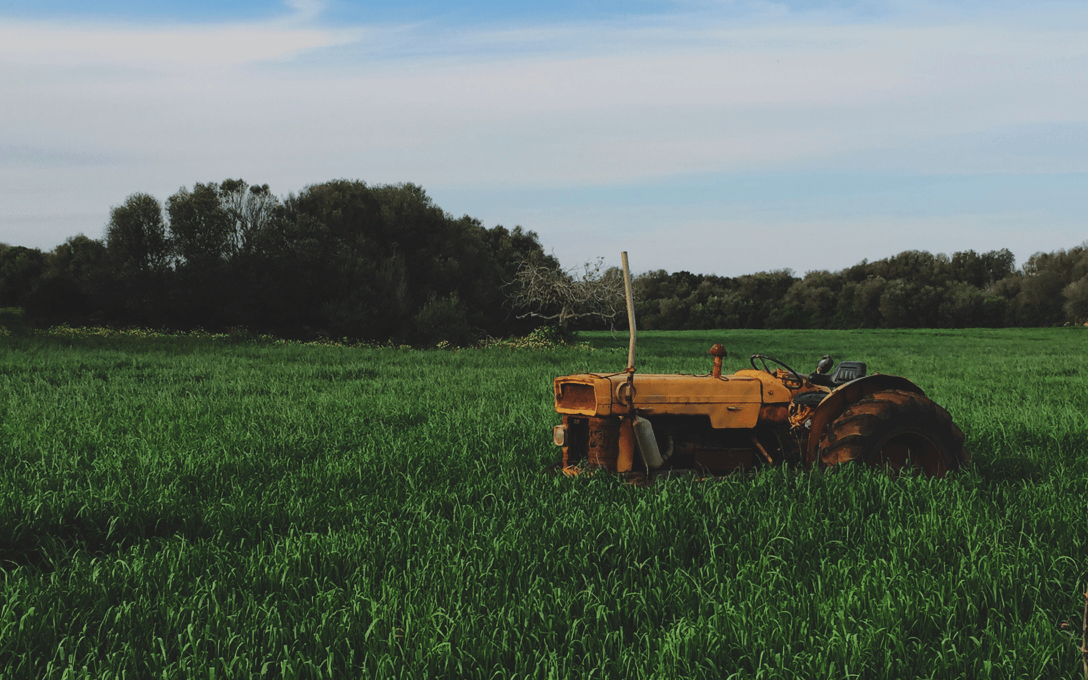 Rural Market Grew at 1.5-2 Times the Urban Market