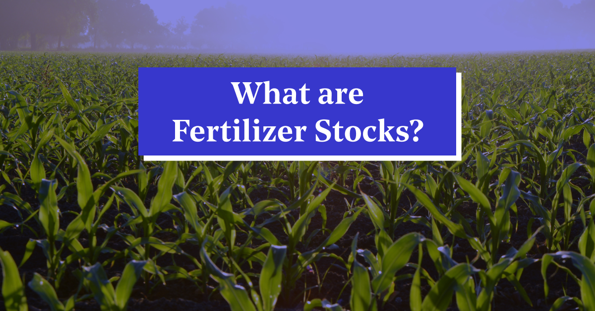 Fertilizer Stocks in India: Why Should You Invest in Them?