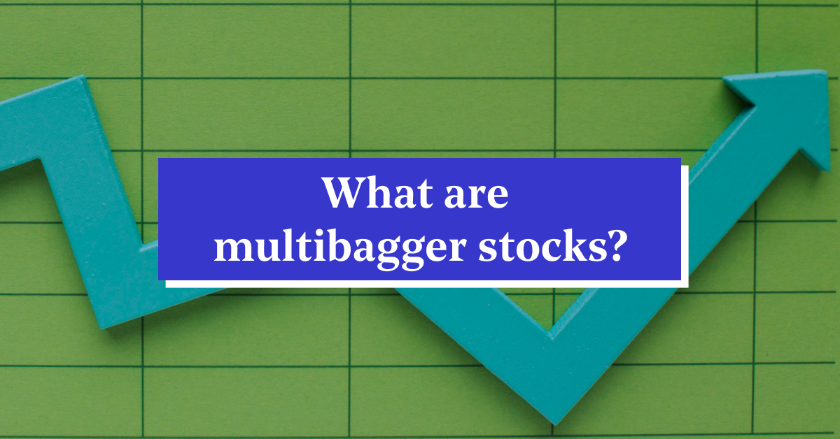List of Top Multibagger Stocks on NSE India 2024 for Portfolio Investing
