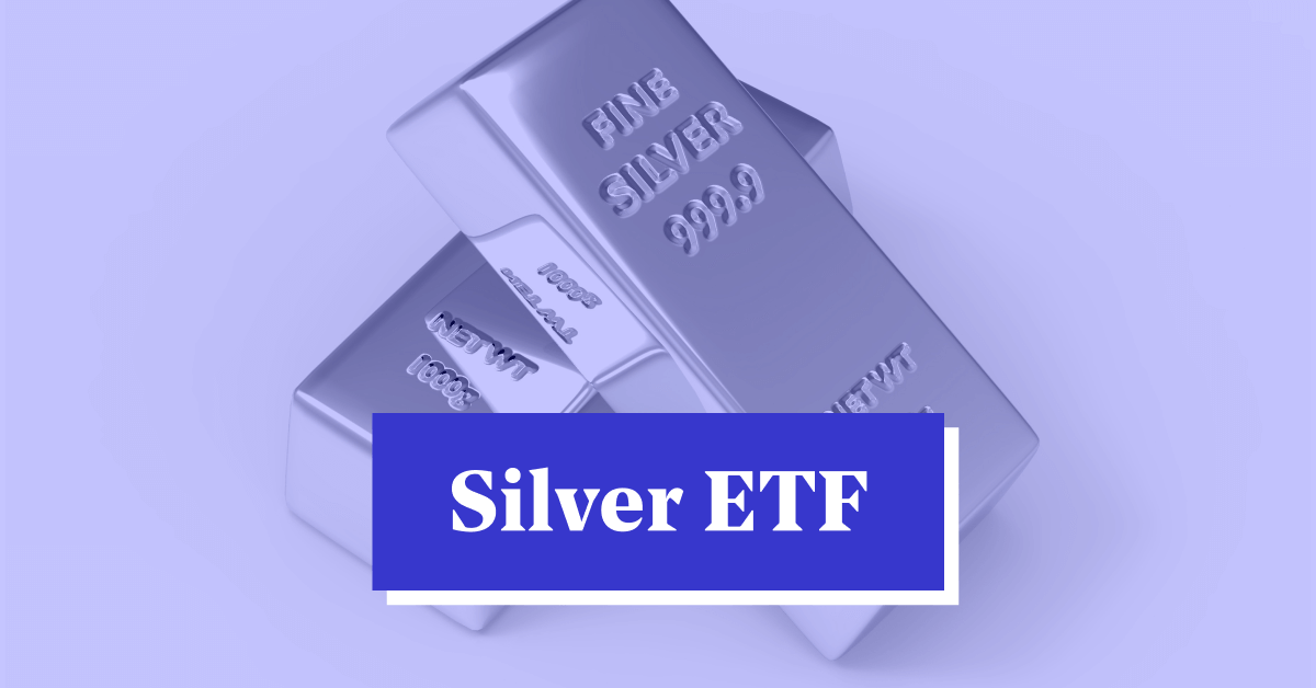 Best Silver Etf In India 2024 Delia Brittni