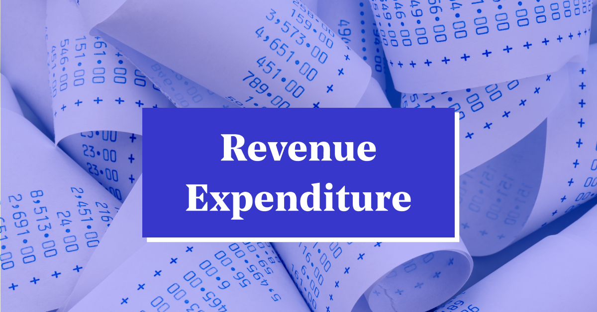Revenue Expenditure: Features &#038; How Does It Work?