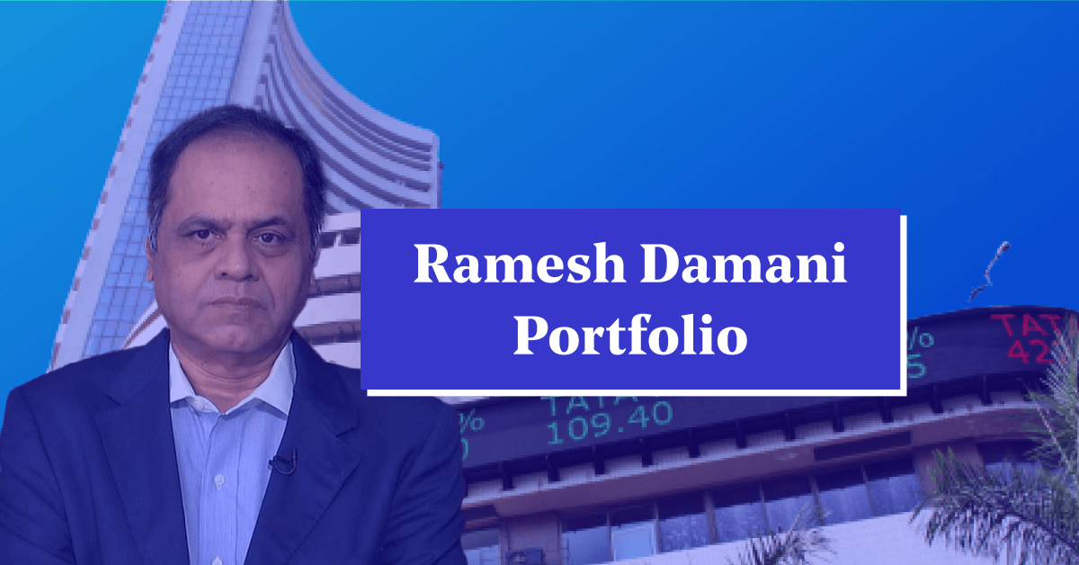Ramesh Damani Portfolio