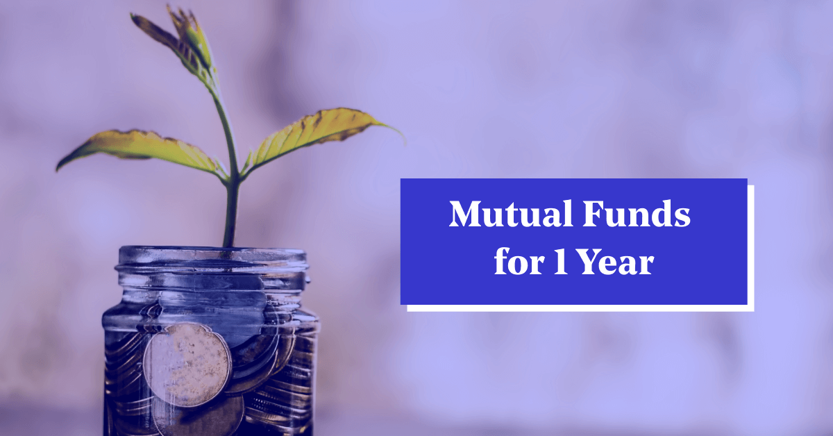Top Mutual Fund Investment Plans for 1 Year in 2024